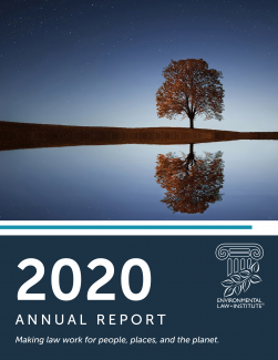 2020 Annual Report Cover